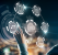 US Government: Royal Ransomware Targets Critical Infrastructure